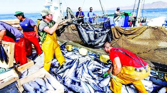 MC12 hy vọng sẽ đạt được các thỏa thuận về vấn đề giảm trợ cấp cho hoạt động đánh bắt cá tận diệt. Ảnh: Hinrich Foundation