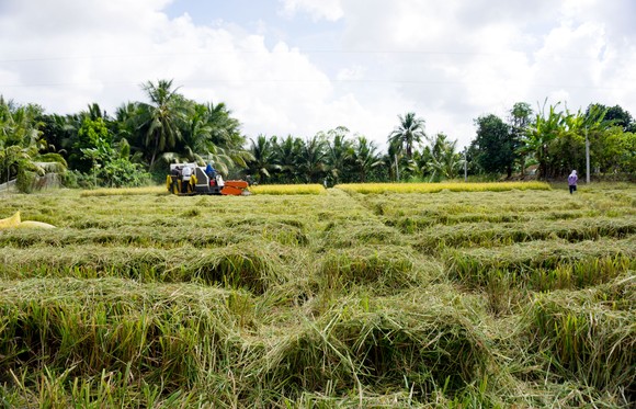 Nâng tầm nông sản Việt ảnh 1