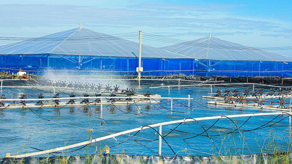 Lĩnh vực thủy sản của Sóc Trăng đạt giá trị xuất khẩu trên 1,03 tỷ USD, năm 2021