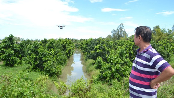 Lão nông Tư Tấn theo dõi đường bay về của chiếc drone trị giá 650 triệu đồng, sau khi gieo sạ lúa. Ảnh: CAO PHONG