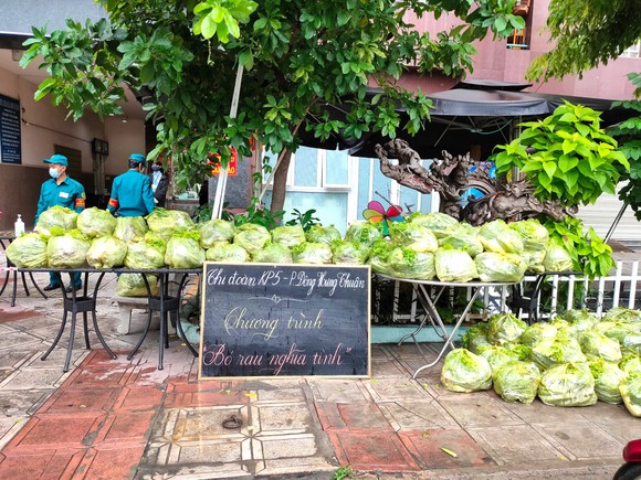Khi thành phố tôi đồng lòng ảnh 1