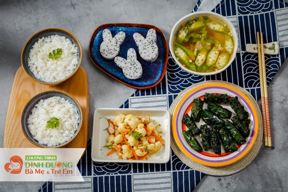 Bộ Y tế triển khai phần mềm Xây dựng thực đơn dinh dưỡng cho mẹ và bé tại Hà Tĩnh ảnh 3