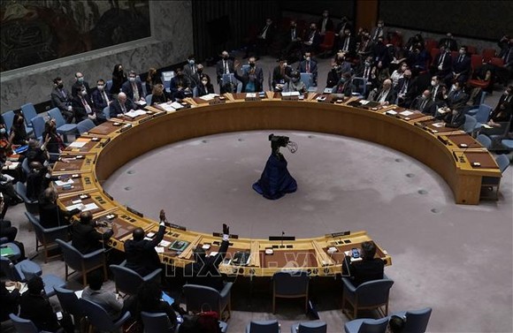 Nga phủ quyết dự thảo nghị quyết của Hội đồng Bảo an Liên hiệp quốc về vấn đề Ukraine ảnh 1
