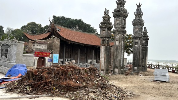 Chặt bỏ cây đa ở đình Chèm: Tùy tiện trong ứng xử với di sản ảnh 1
