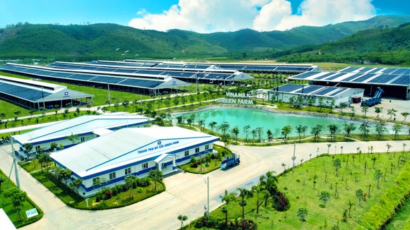 Vinamilk đẩy mạnh xây dựng mô hình phát triển bền vững trong ngành sữa ảnh 1