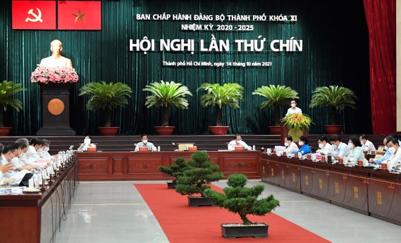 Phó Chủ tịch UBND TPHCM Phan Thị Thắng: Thu hút vốn tư nhân hỗ trợ phục hồi kinh tế ảnh 2