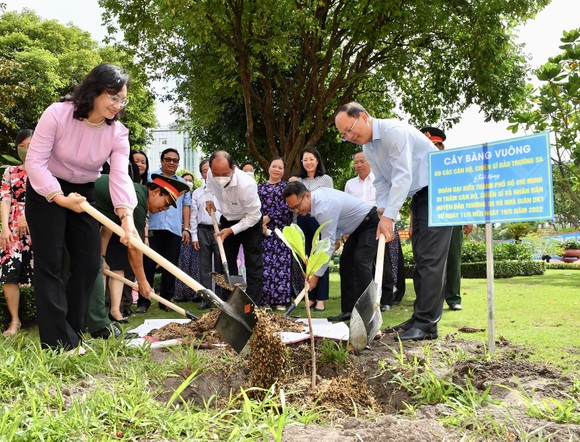 TPHCM trồng cây bàng vuông của quân và dân huyện đảo Trường Sa gửi tặng ảnh 1