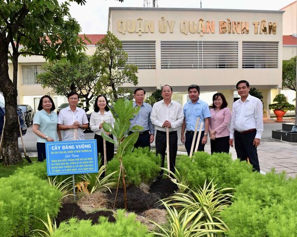 Thêm cây bàng vuông từ Trường Sa được trồng tại quận Bình Tân ảnh 2