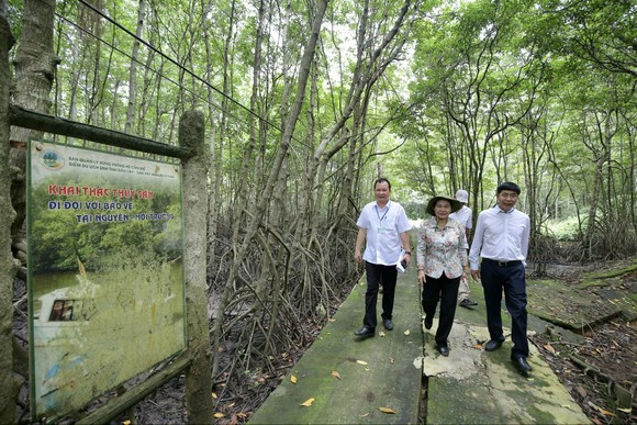 Chủ tịch HĐND TPHCM Nguyễn Thị Lệ khảo sát thực tế khu rừng trồng hoàn trả diện tích giải tỏa tại huyện Cần Giờ ảnh 1
