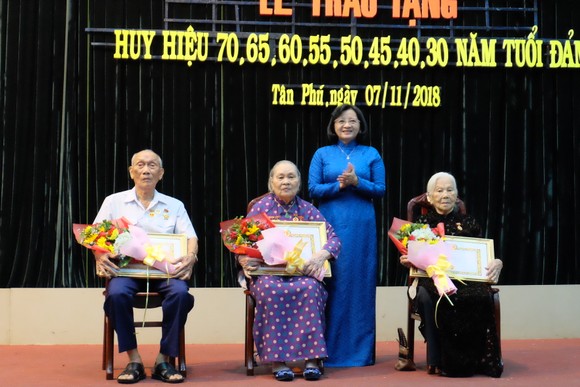 Nhiều quận trao Huy hiệu Đảng đợt 7-11-2018 ảnh 2