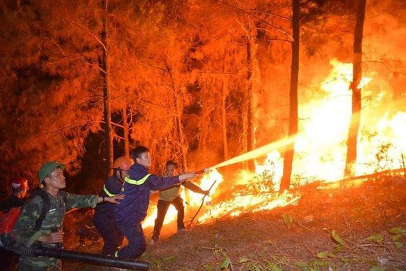 Phó Chủ tịch Quốc hội đề nghị Chính phủ tăng cường công tác quản lý, bảo vệ rừng và có giải pháp hiệu quả phòng cháy, chữa cháy rừng