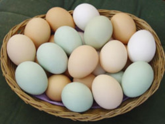 Trứng được tiêu thụ mạnh do… dịch Covid-19 ​ ảnh 1