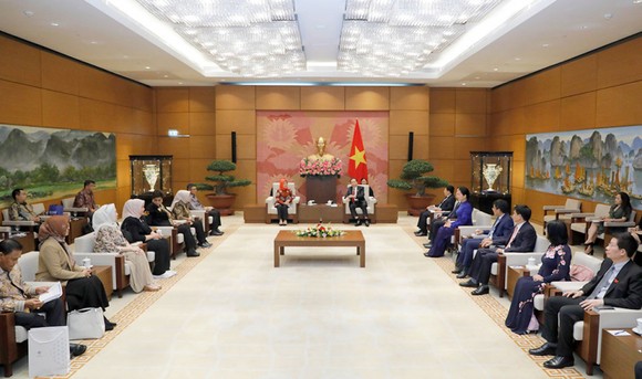 Hợp tác chặt chẽ đưa quan hệ Việt Nam-Indonesia lên tầm cao mới ảnh 1