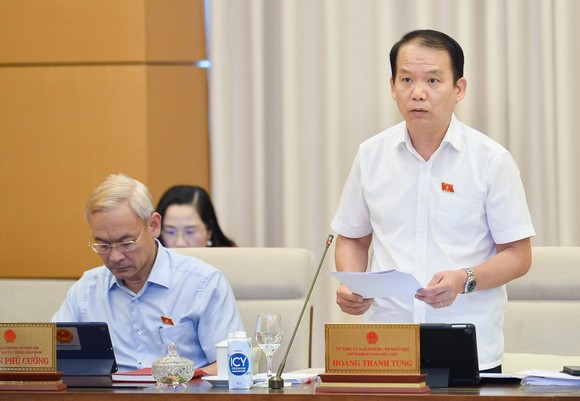 Chủ nhiệm Ủy ban Pháp luật Hoàng Thanh Tùng  báo cáo tại phiên họp