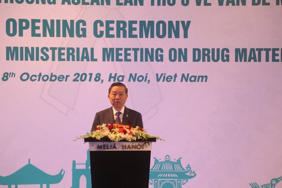 Ma túy vào Việt Nam tăng đột biến ảnh 1