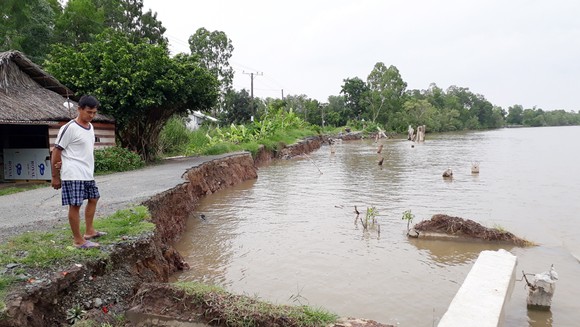 Hiện trạng công trình khắc phục sạt lở tuyến đê sông Gành Hào bị sạt lở