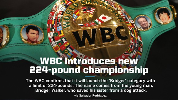 WBC thiết lập hạng cân mới mang tên “Bridger”: Lấy cảm hứng từ cậu bé 6 tuổi cứu em khỏi chó dữ ảnh 1