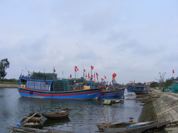 Từ 13 giờ hôm nay, Thanh Hóa cấm tàu thuyền ra khơi ảnh 1