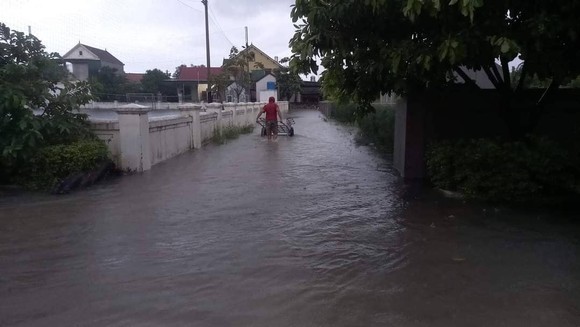Nghệ An: Mưa lớn gây ngập lụt, sạt lở nhiều nơi ảnh 6