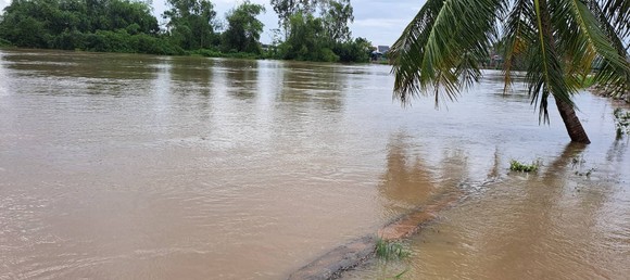 Nghệ An: Mưa lớn gây ngập lụt, sạt lở nhiều nơi ảnh 7