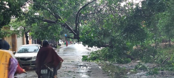 Nghệ An: Mưa lớn gây ngập lụt, sạt lở nhiều nơi ảnh 8