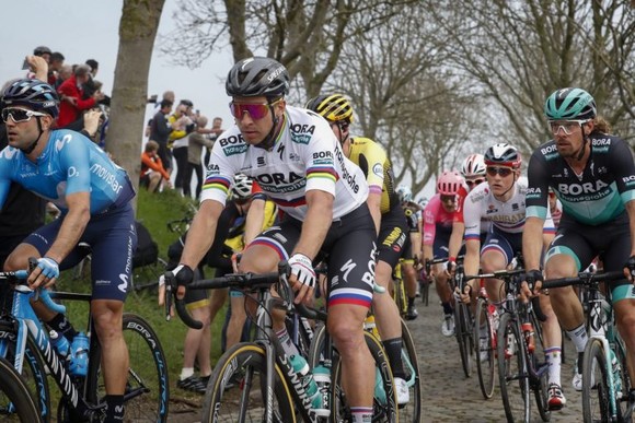 Xe đạp: Nằm ngoài tốp 10 Tour of Flanders, Sagan than vãn anh không còn như xưa ảnh 3