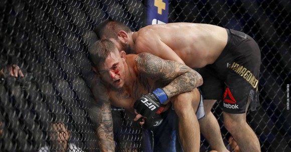 UFC 242: “Đại bàng Nga” Khabib lại lừa thế siết cổ khiến đối thủ phải đập tay xin hàng ảnh 2