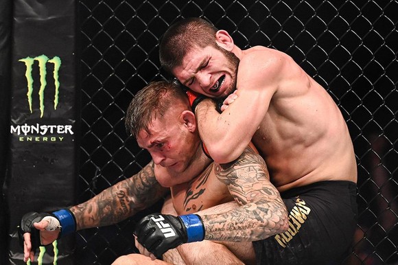 UFC 242: “Đại bàng Nga” Khabib lại lừa thế siết cổ khiến đối thủ phải đập tay xin hàng ảnh 3