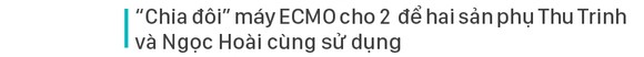Hồi sinh ngoạn mục ảnh 5