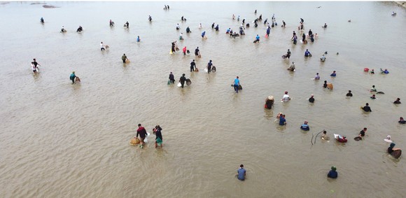 Hàng trăm người nô nức bắt cá hồ Đập Lổ ở Hà Tĩnh ảnh 18