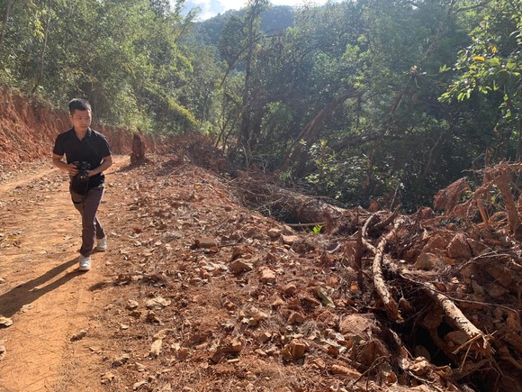 Phát hiện thêm nhiều diện tích rừng bị phá để làm đường Trường Sơn Đông  ảnh 1