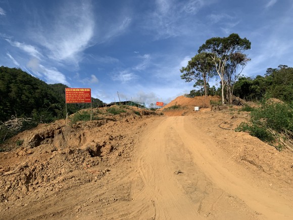 Phát hiện thêm nhiều diện tích rừng bị phá để làm đường Trường Sơn Đông  ảnh 3
