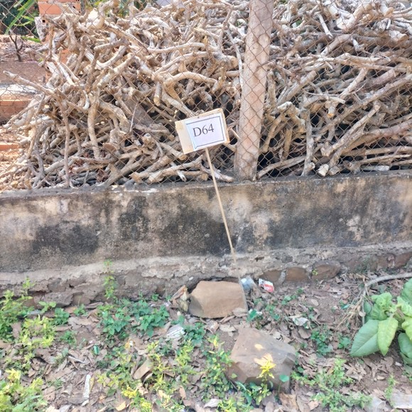 Đắk Lắk: Làm rõ việc 'cò' đất cắm bảng quy hoạch giả để trục lợi ảnh 2