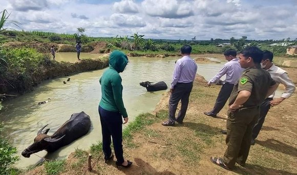 Đắk Lắk: Hai cháu nhỏ đuối nước thương tâm ảnh 1
