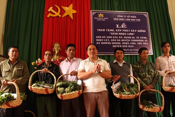 Tặng sâm giống Ngọc Linh cho xã nghèo ảnh 2