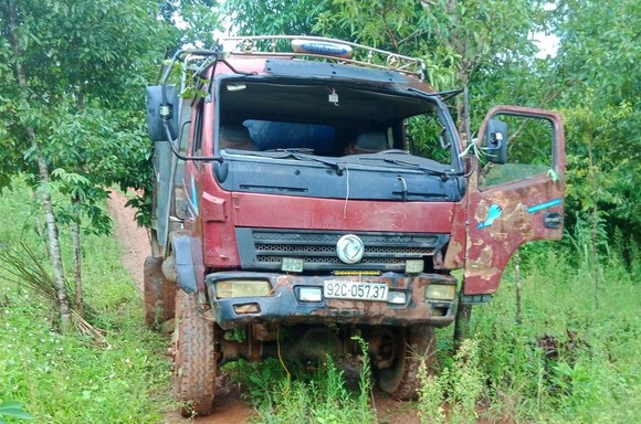 Kon Tum: Khởi tố vụ cưa hạ gỗ dổi cổ thụ ảnh 1