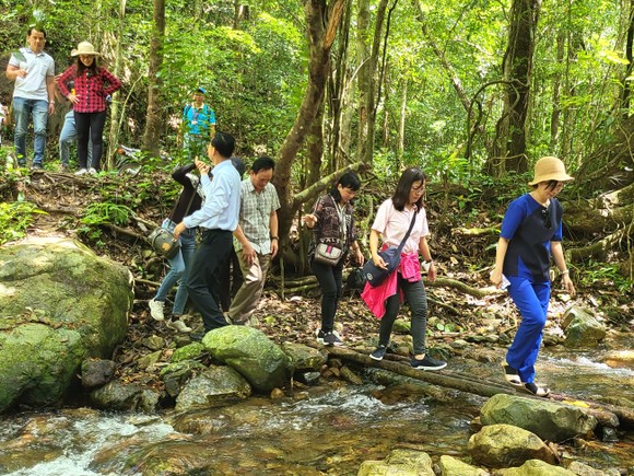 Đoàn công tác TPHCM khảo sát tiềm năng du lịch ở Vườn quốc gia Kon Ka Kinh ảnh 3