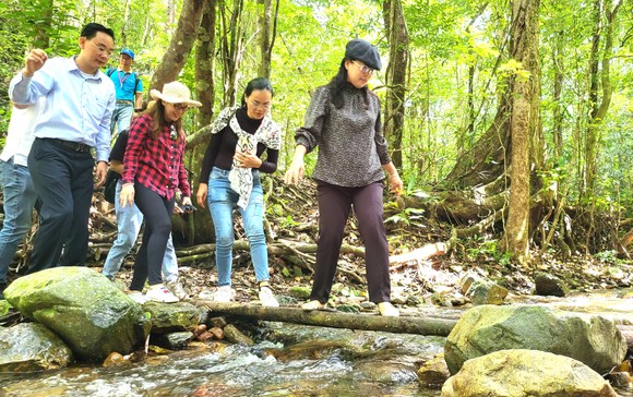 Đoàn công tác TPHCM khảo sát tiềm năng du lịch ở Vườn quốc gia Kon Ka Kinh ảnh 2