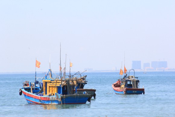 Bảo vệ môi trường biển từ mô hình 'Tổ bảo vệ cộng đồng' ảnh 4