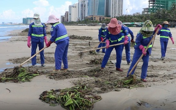 Đà Nẵng thu gom hơn 1.300 tấn rác phát sinh do bão số 5 ảnh 4