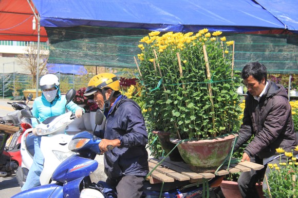 Tiểu thương chợ hoa tết ở Đà Nẵng 'nhớ' người mua ảnh 6