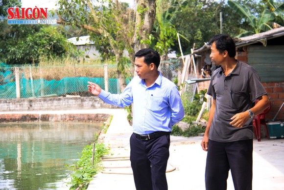 Đà Nẵng: Nông dân làm giàu nhờ nuôi cá phục vụ du lịch sinh thái ảnh 3