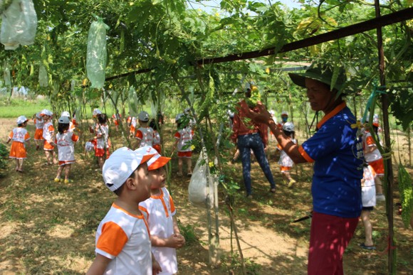 Đà Nẵng sẽ ban hành Nghị quyết để phát triển riêng huyện Hòa Vang ảnh 2