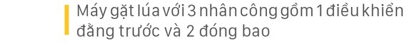 Xuống đồng giúp dân thu hoạch lúa ảnh 11