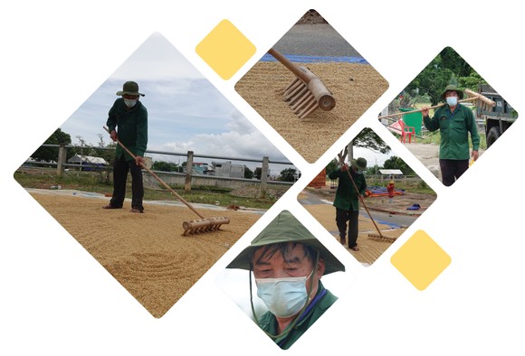 Xuống đồng giúp dân thu hoạch lúa ảnh 15