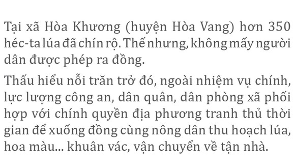 Xuống đồng giúp dân thu hoạch lúa ảnh 3