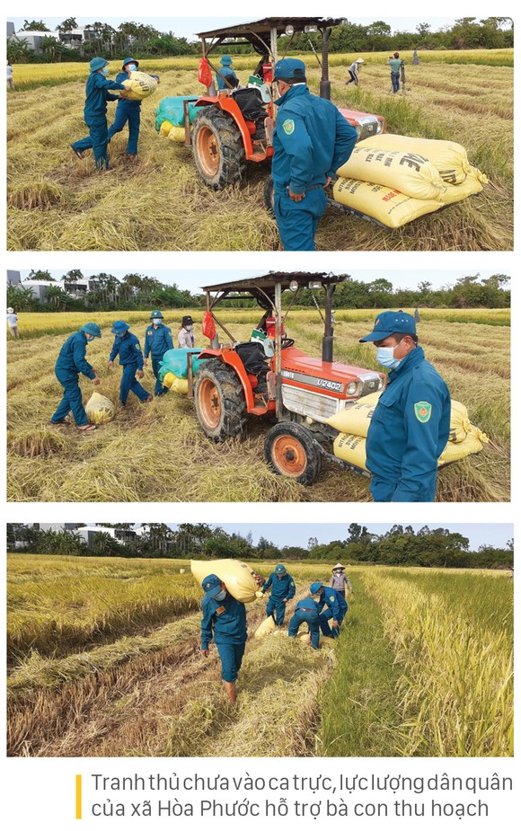 Xuống đồng giúp dân thu hoạch lúa ảnh 6