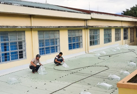 Đà Nẵng: Tạo điều kiện cho địa phương sử dụng cơ sở giáo dục làm nơi tập kết, sơ tán dân ảnh 9