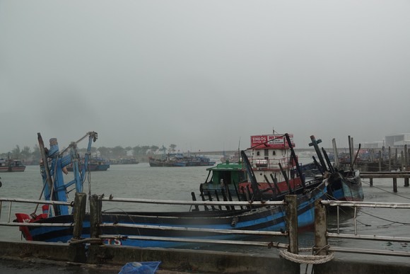 Đà Nẵng: Chuẩn bị mở lại cửa hàng sách, văn phòng phẩm phục vụ học sinh ảnh 1