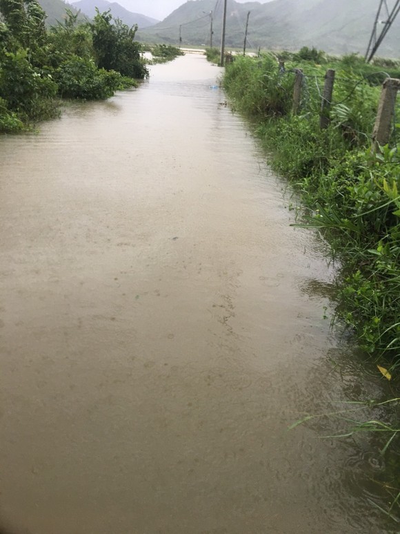 Một số tỉnh miền Trung bị sạt lở, ngập cục bộ, chia cắt giao thông do mưa lớn ảnh 8